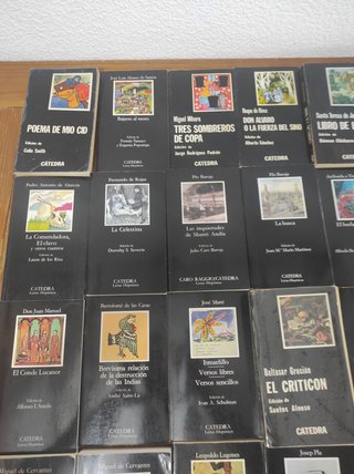 Lote Cátedra Letras Hispánicas