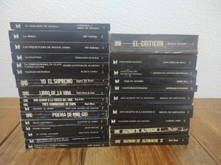 Lote Cátedra Letras Hispánicas