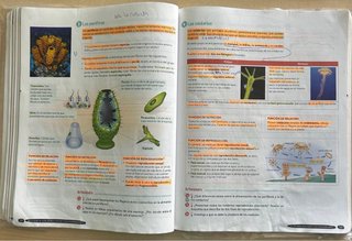 Libros de texto de 1 ESO colegio apostol santiago