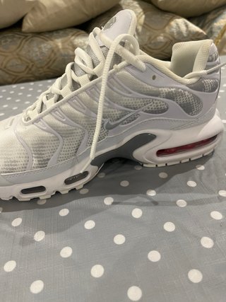 Nike TN Plata y Blanco