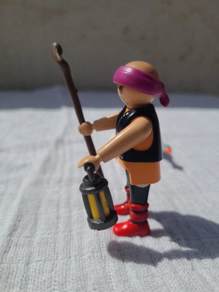 Lote 37. Playmobil Gansos y Pastor