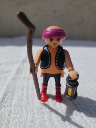 Lote 37. Playmobil Gansos y Pastor