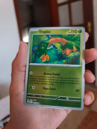 Carta Pokémon Tropius Holográfica 110 PS