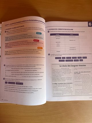 Les blogueurs 5, B1 Cahier d ́exercices