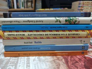 Lote de libros juveniles