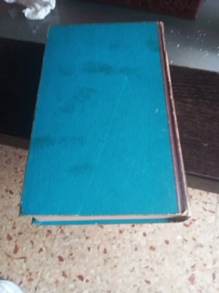 NOVELA DEL PADRINO MARIO PUZO  1970