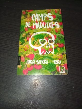 Camps de maduixes