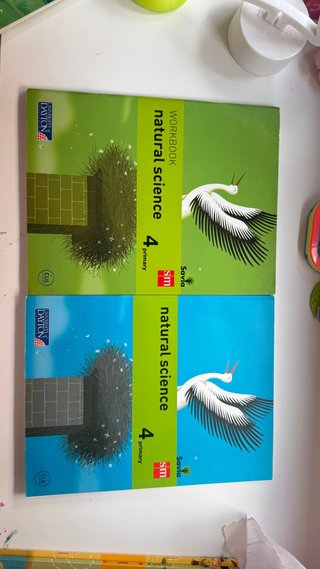 Natural Science, 4 Primary Savia. Workbook