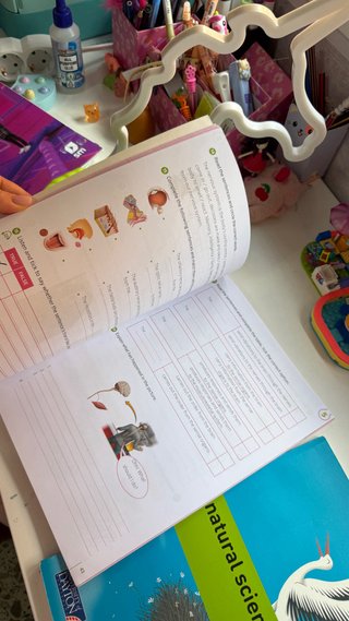 Natural Science, 4 Primary Savia. Workbook