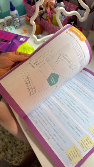 Social Science, 4 Primary Savia. Workbook