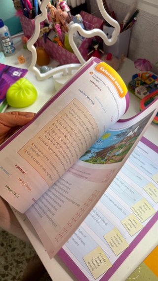Social Science, 4 Primary Savia. Workbook