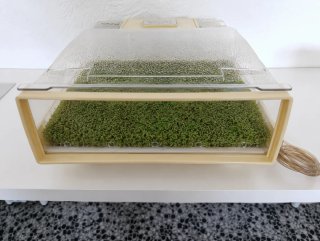Germinador Automático EasyGreen 5L