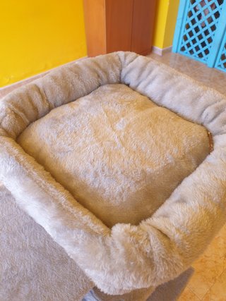 Casa/Torre para gato sin usar