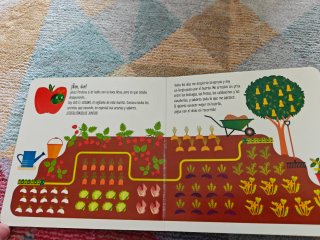 Mi primer libro de frutas y verduras