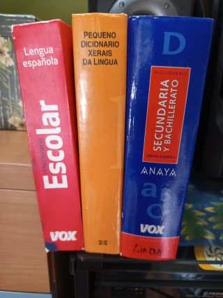 Diccionario Lengua Española Secundaria