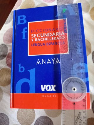 Diccionario Lengua Española Secundaria
