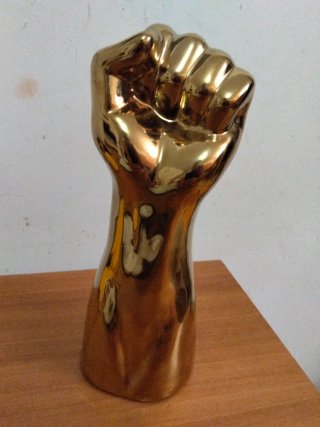 Vaso pugno Fist