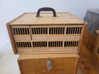 Transportin,incubadora pajaros, huevos,soplador pi