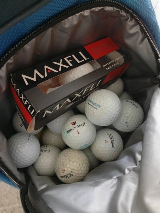Lote de golf,2 bolsas,30 palos