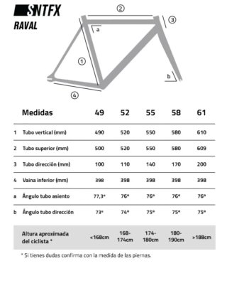 Bicicleta Fixie Santafixie Raval Naked Edition