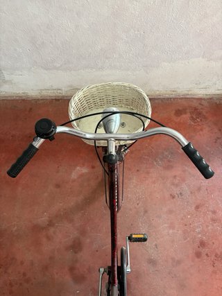 Bicicleta Paseo Superba
