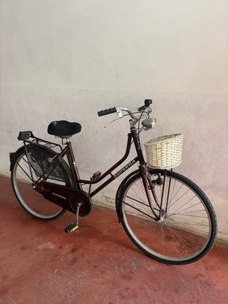 Bicicleta Paseo Superba