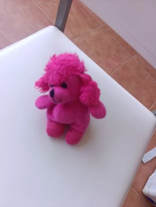 Peluche Koala Gris y Blanco