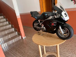 Minimoto políni