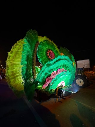 Pluma de pavo real verde con ojo dorado