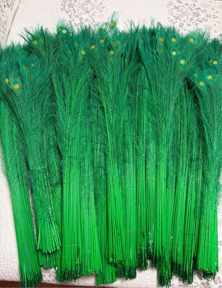 Pluma de pavo real verde con ojo dorado