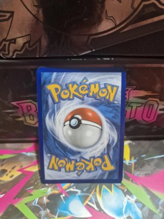 Carta Allenatore Imma Pokémon IT