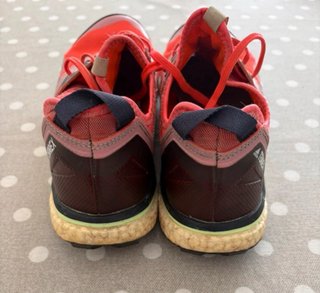 Adidas Terrex Agravic 320 Zapatillas Trail Running