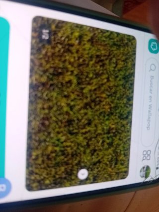 Cesped artificial e instalaciones