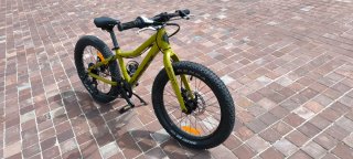 Scott Roxter 20 Bicicleta Infantil