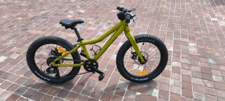 Scott Roxter 20 Bicicleta Infantil