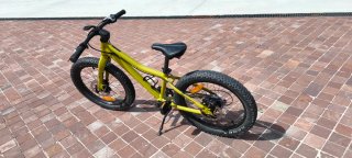 Scott Roxter 20 Bicicleta Infantil