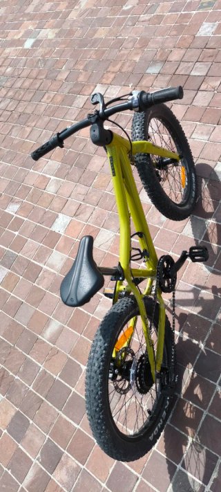 Scott Roxter 20 Bicicleta Infantil