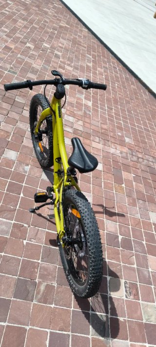 Scott Roxter 20 Bicicleta Infantil