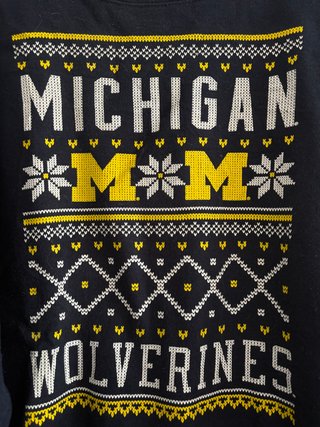 Sudadera Michigan Wolverines Champion
