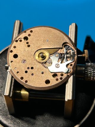 Reloj Festina 17 Rubís Hombre
