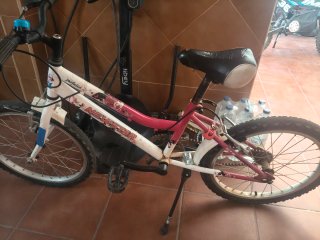 Bicicleta NEWSTAR infantil