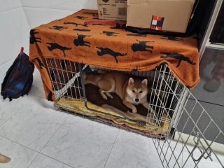 Jaula grande para mascotas