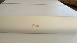 Apple iPad 7ª Gen  color oro rosa