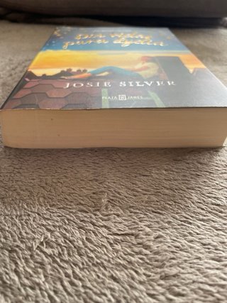 Libro Dos vidas para Lydia de Josie Silver