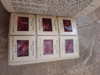 Diapositivas historia del arte