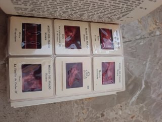 Diapositivas historia del arte