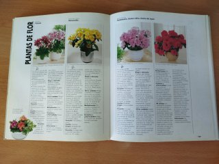 El gran libro de las plantas de interior