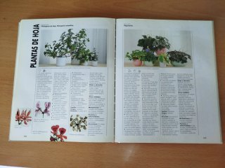 El gran libro de las plantas de interior