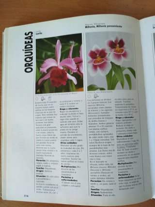 El gran libro de las plantas de interior