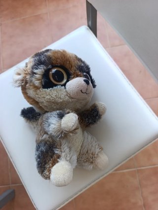 Peluche mapache ojos grandes